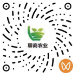 官方视频号